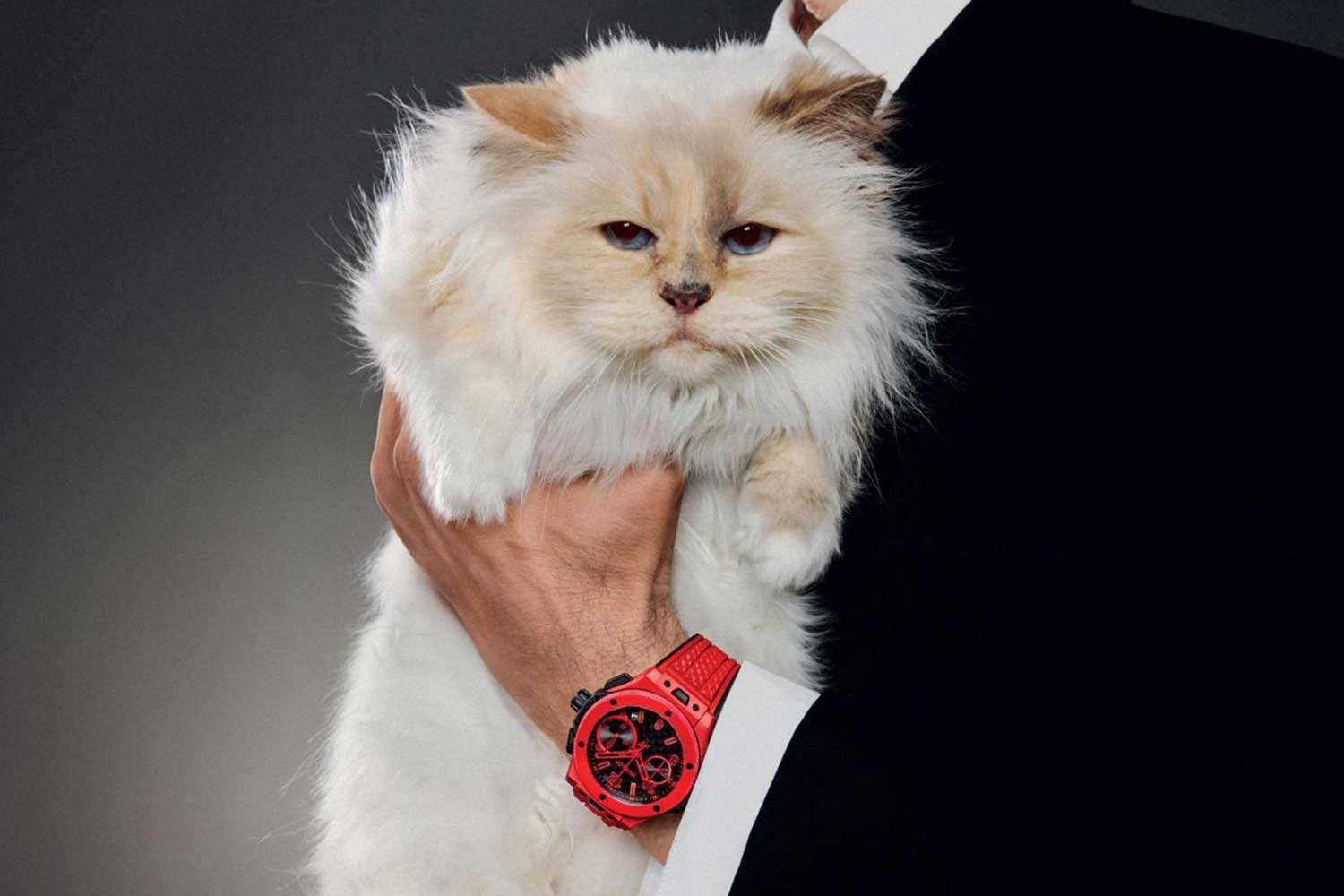 The world’s most famous and pampered feline Choupette stars in Hublot’s Big Bang 20th anniversary campaign