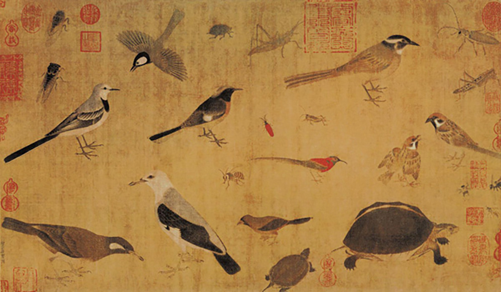 Birds By Sketching Life painted by Huang Quan (c.903–965), credit China Online Museum
